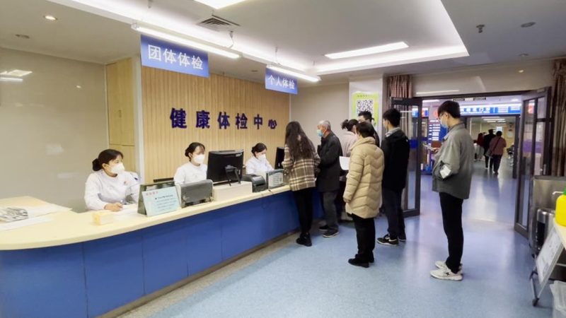 团检与个检报告查询：揭秘背后的差异